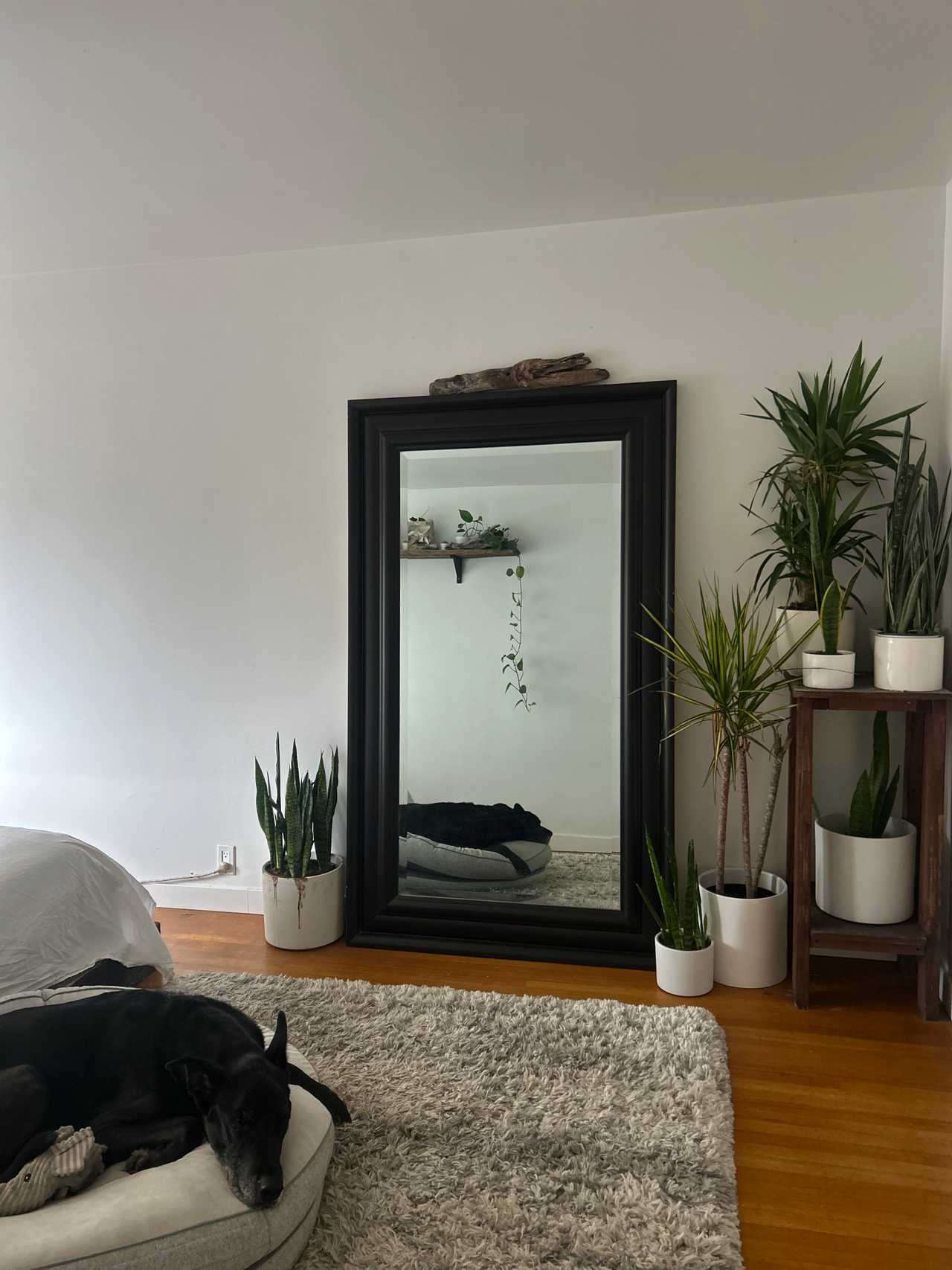 The Rustic Nook in Beautiful Kitsilano