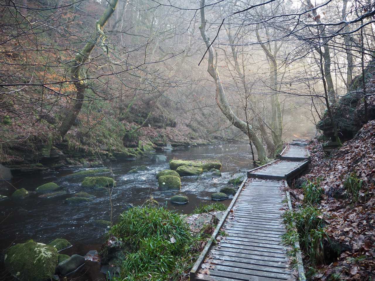 The Vegan Home, 3 bedrooms, Hebden Bridge Riverside, Pennine Way
