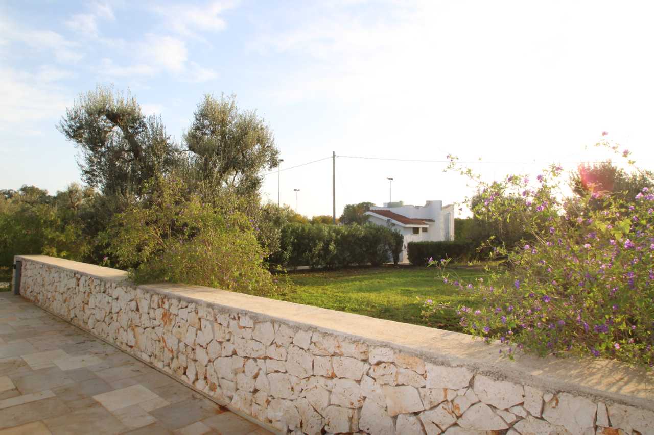 Luxury villa in midst of an ancient olive grove, ideal for families