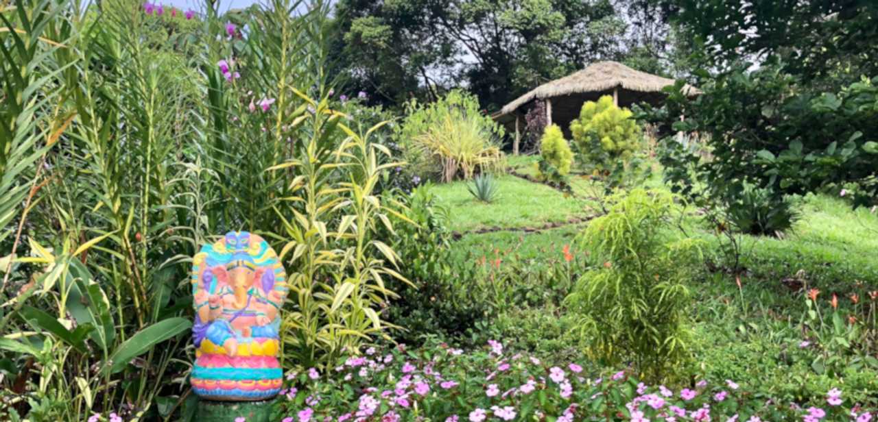 Affordable Vacation for the Healthy Lifestyle & Natural Healing Center