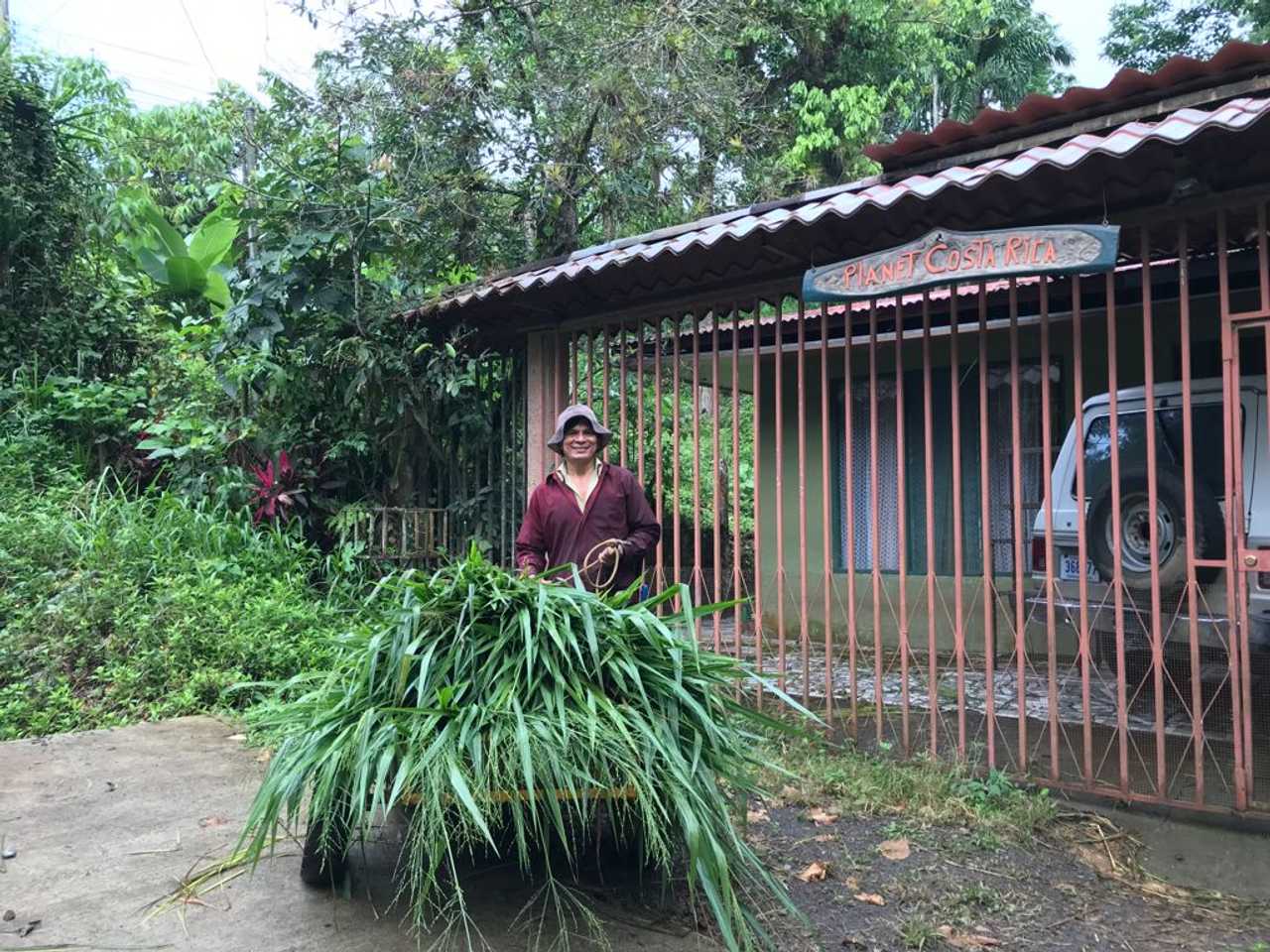 Private room or guesthouse on our VEGAN Animal Sanctuary