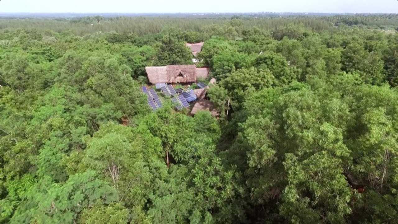 Sadhana Forest India Volunteer Reforestation Project and Cow Sanctuary