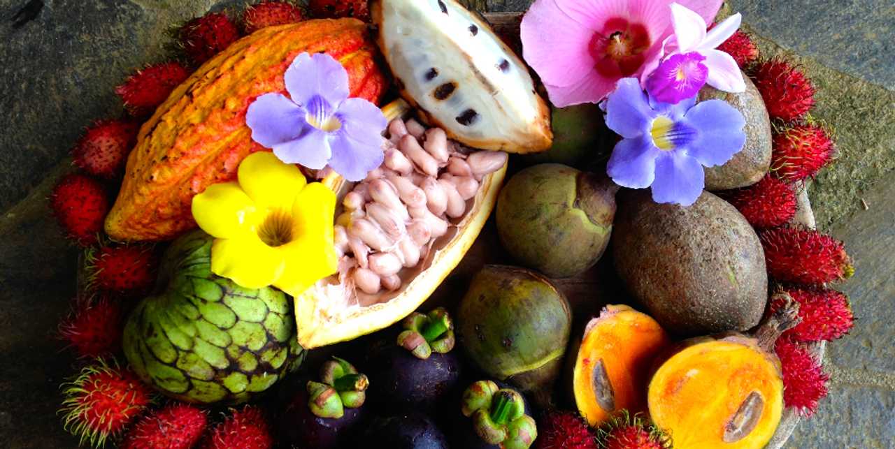 Affordable Vacation for the Healthy Lifestyle & Natural Healing Center