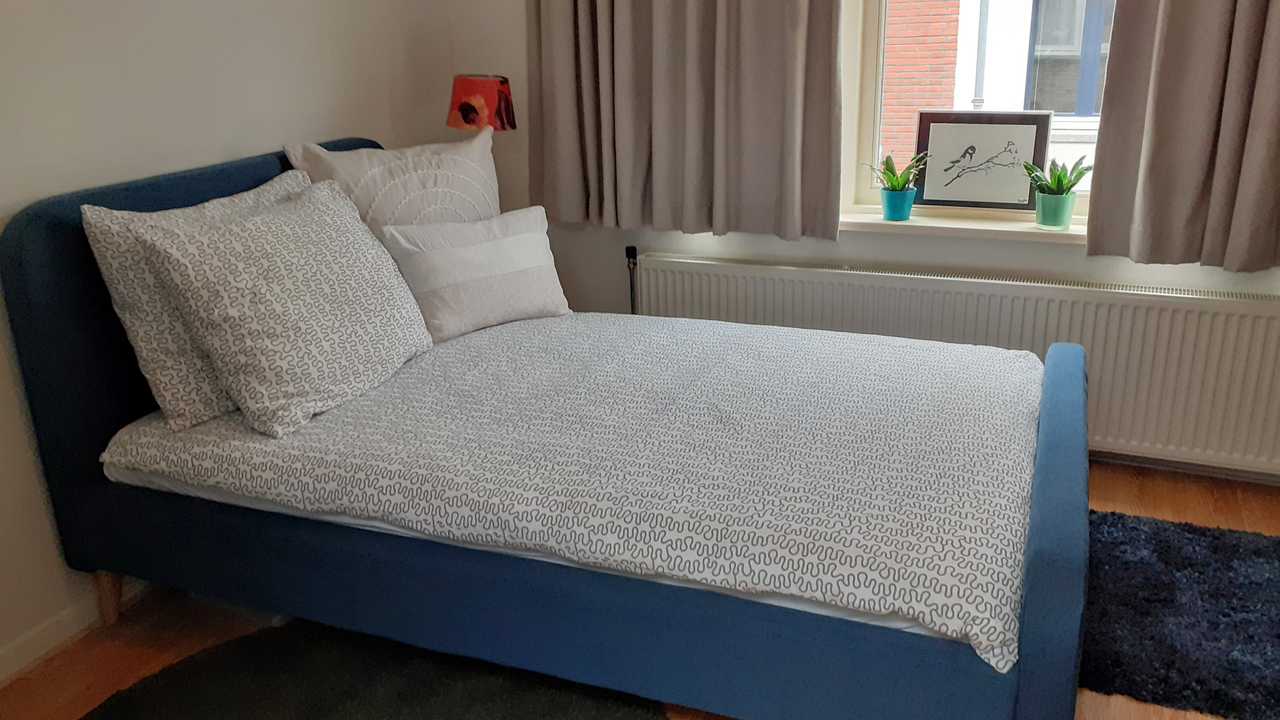 Lovely furnished city room in quiet & clean duplex in very vegan friendly town