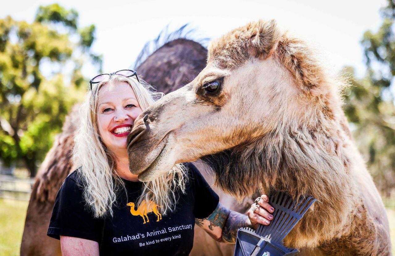 Galahad's Animal Sanctuary B&B
