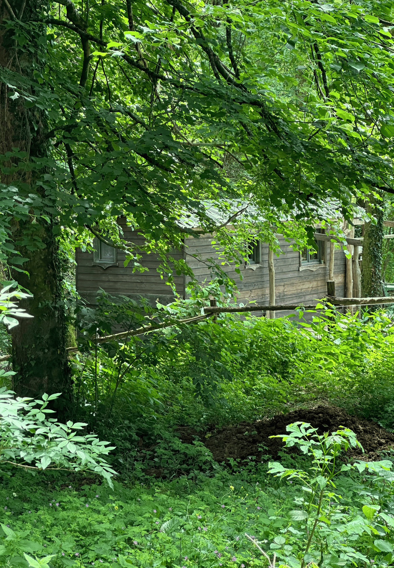 Beautiful gypsy wagon in nature