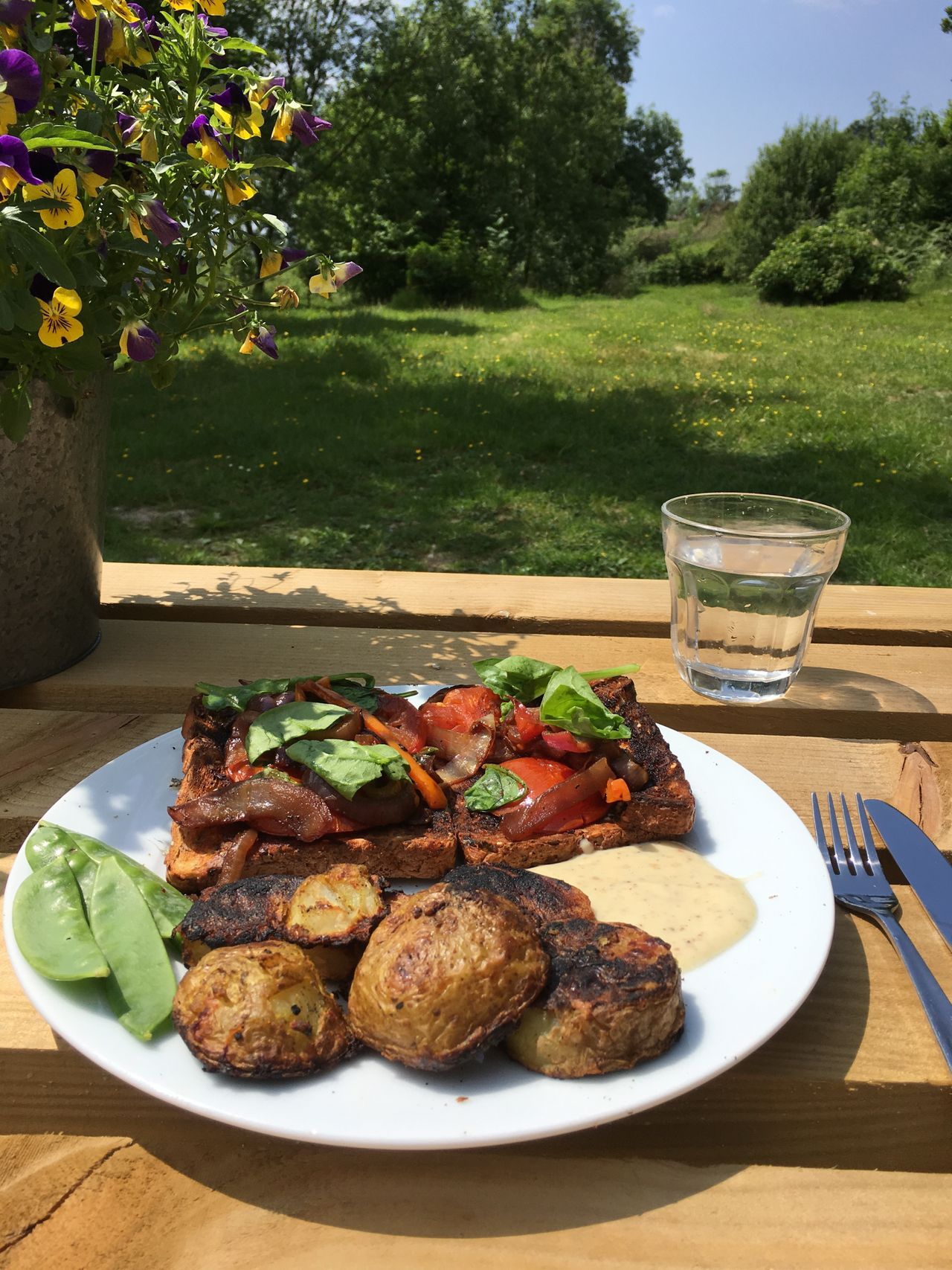 Robin's Realm - the affordable Welsh veggie countryside retreat