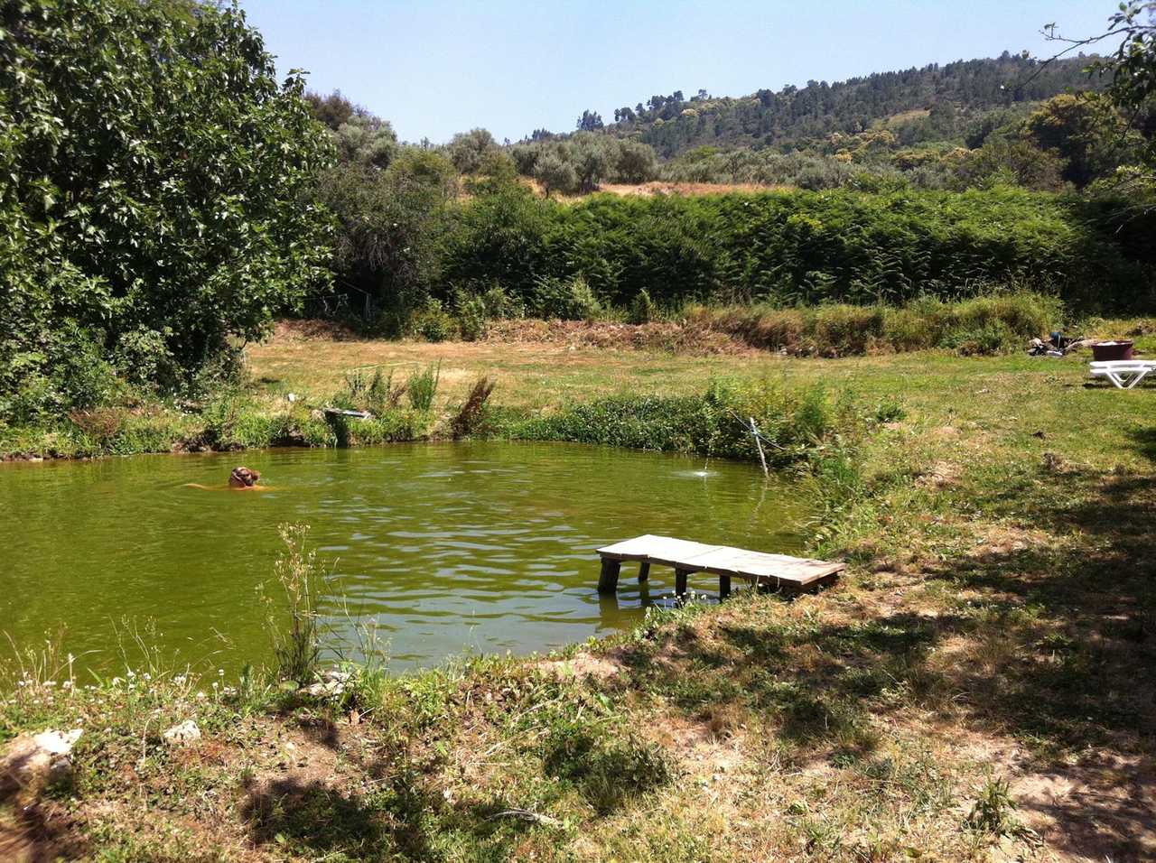Vegan/vegetarian Eco Retreat