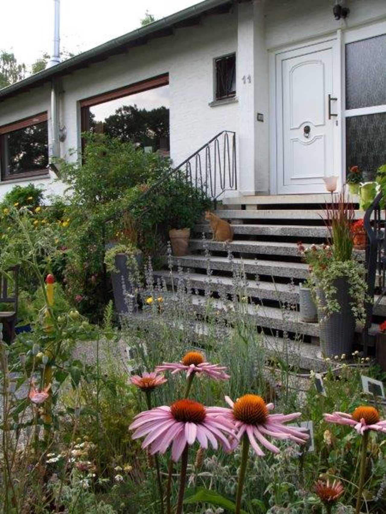 Little Pension at the edge of the Spessart, vegan cooking school          