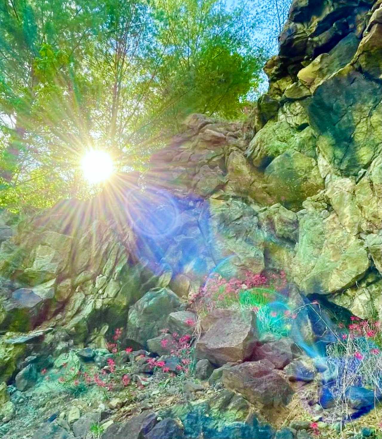 Zen Dome: Relax & Revive in the Beauty of Nature at the Blue Heart Sanctuary