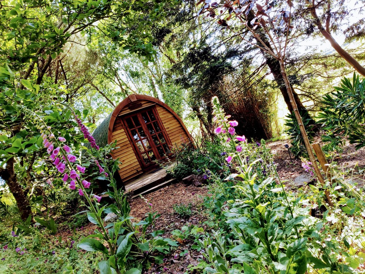 'Wollemia' The Peaceful Pod