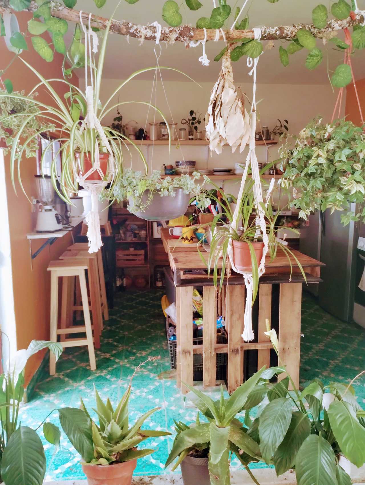 🌿 Worldbridger Sanctuary | Chakra Rooms, Vegetarian Living & Meditation