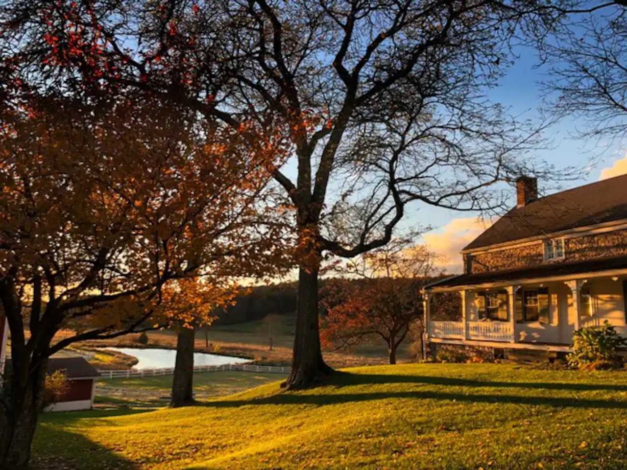 336 Acre Animal Sanctuary & Farm Stay