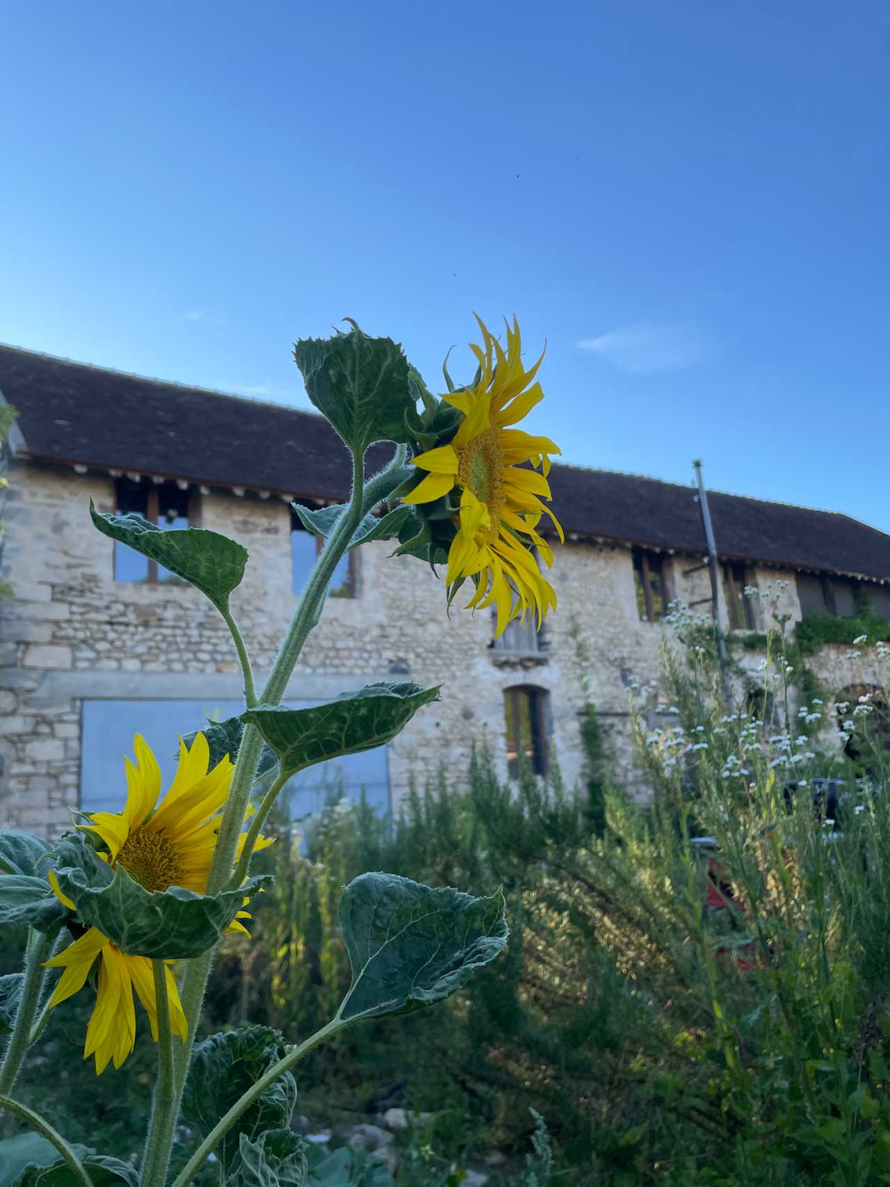 Bella's Cottage in the French Countryside