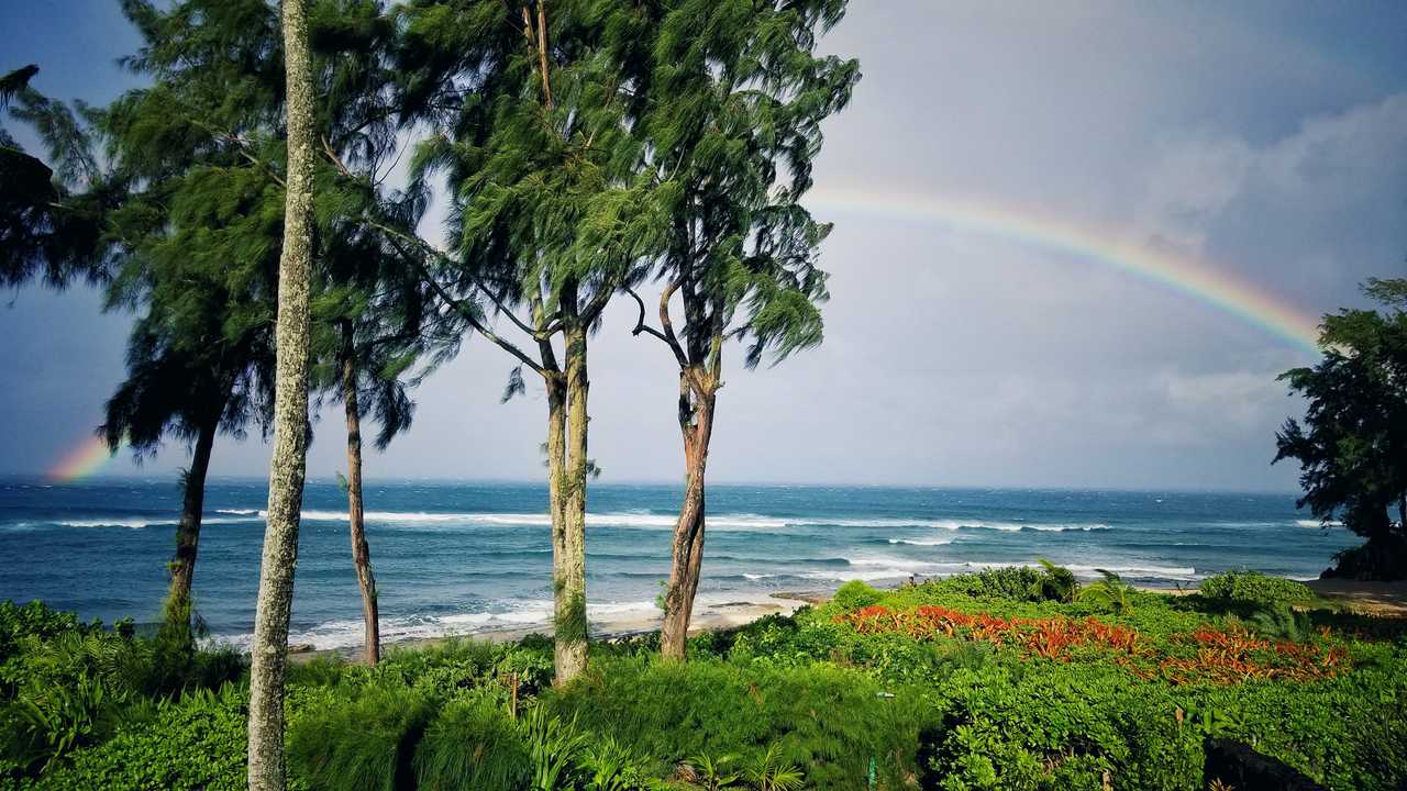 Beach front Paradise on North Shore, O'ahu
