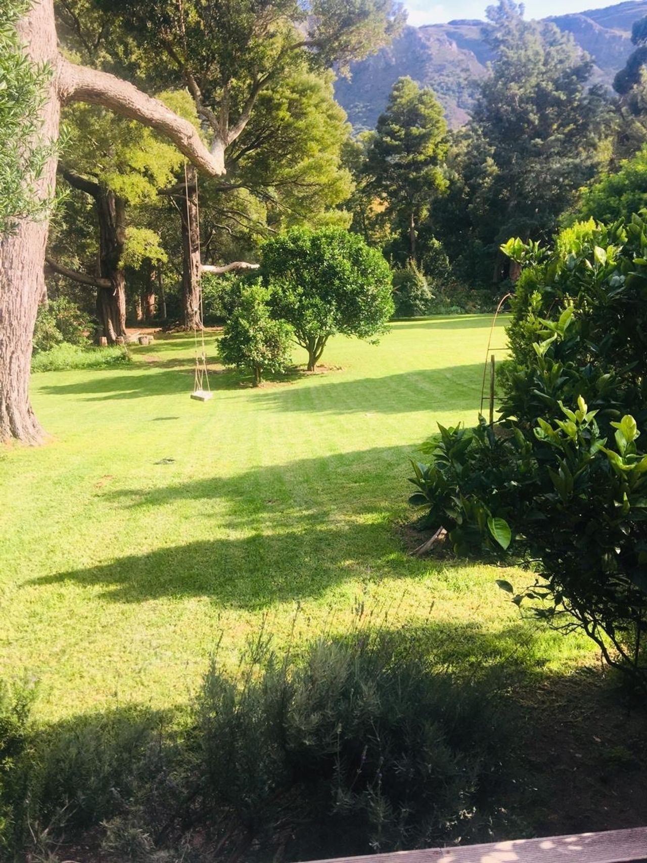 Beautiful log cabin in Hout Bay with massive garden, space for yoga, meditation