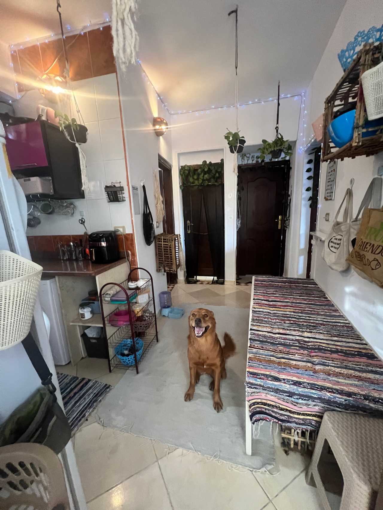 Rose quartz room in an eco-friendly vegan house