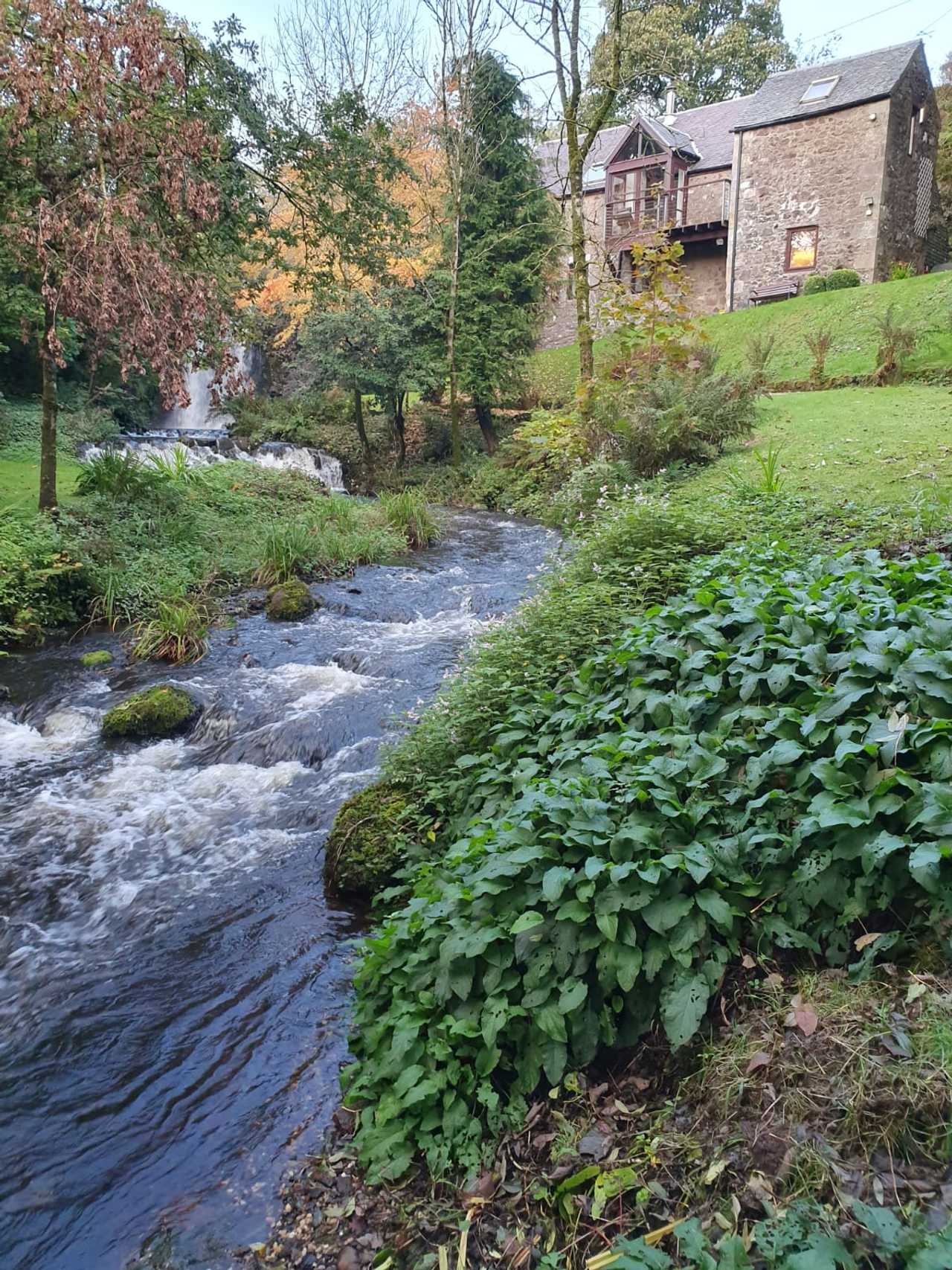 Waterfall Retreat
