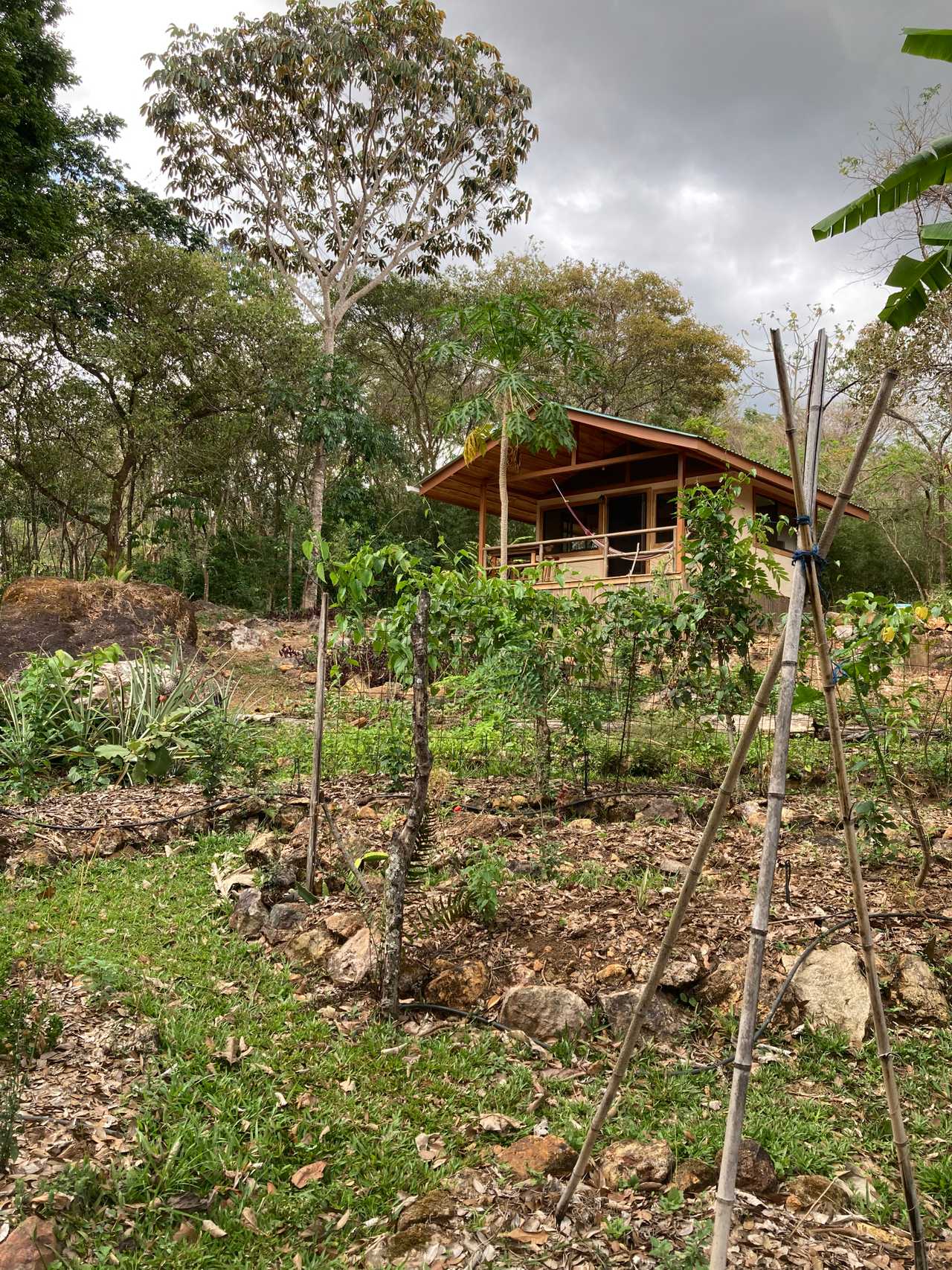 Private cabin in an ecological community surrounded by ecovillages