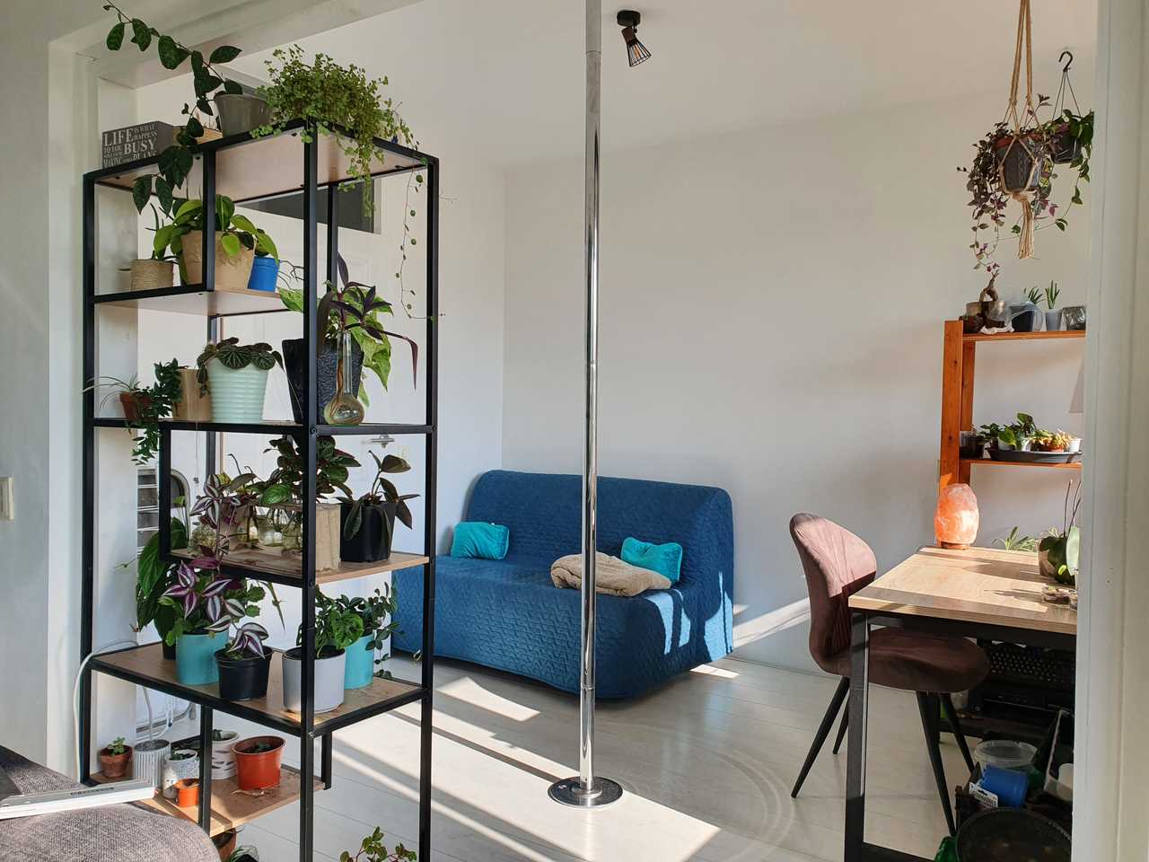 Beautiful vegan home in amsterdam