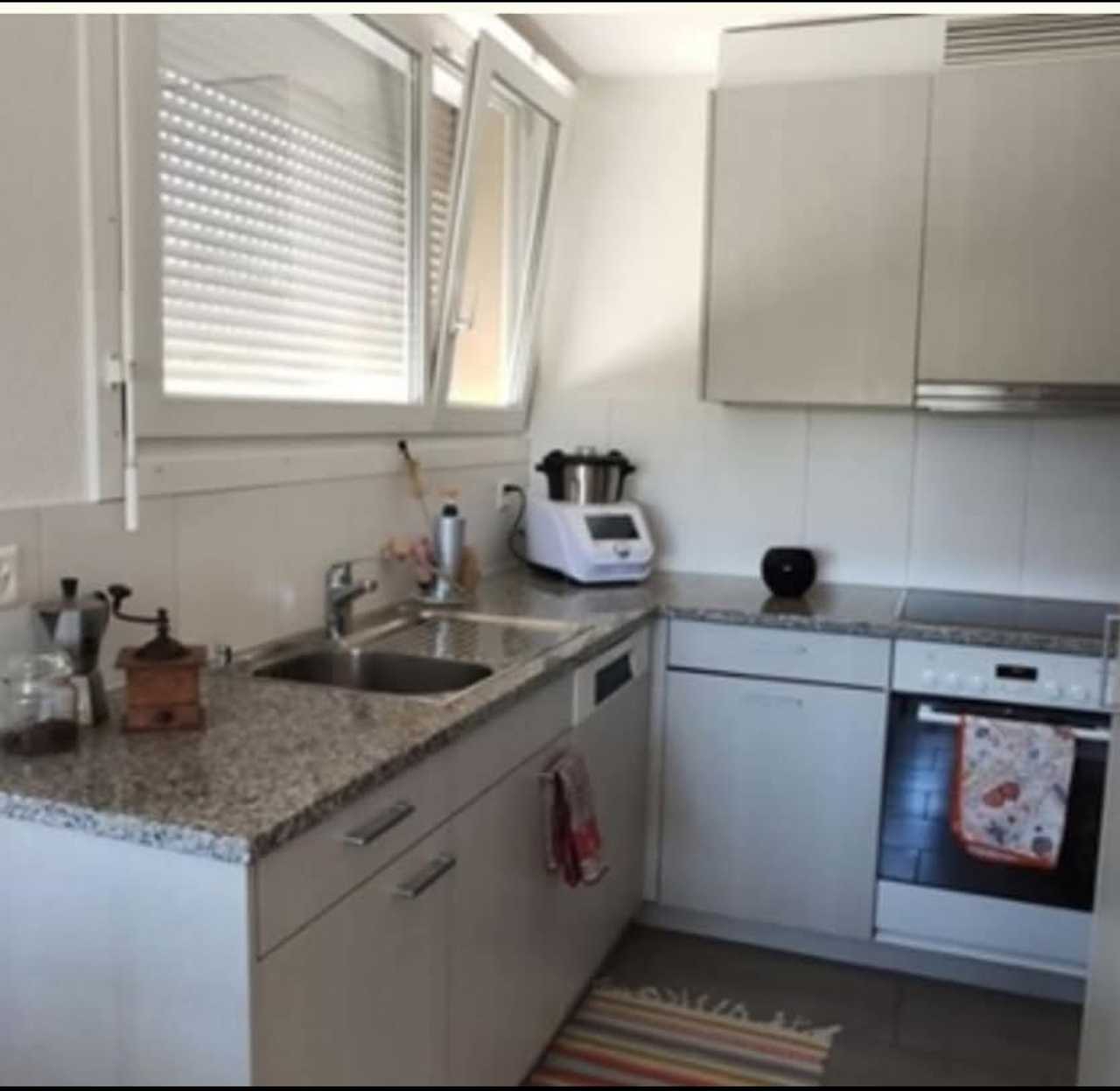 Cozy vegan-friendly apartment, steps from forest & city, perfect for relax!
