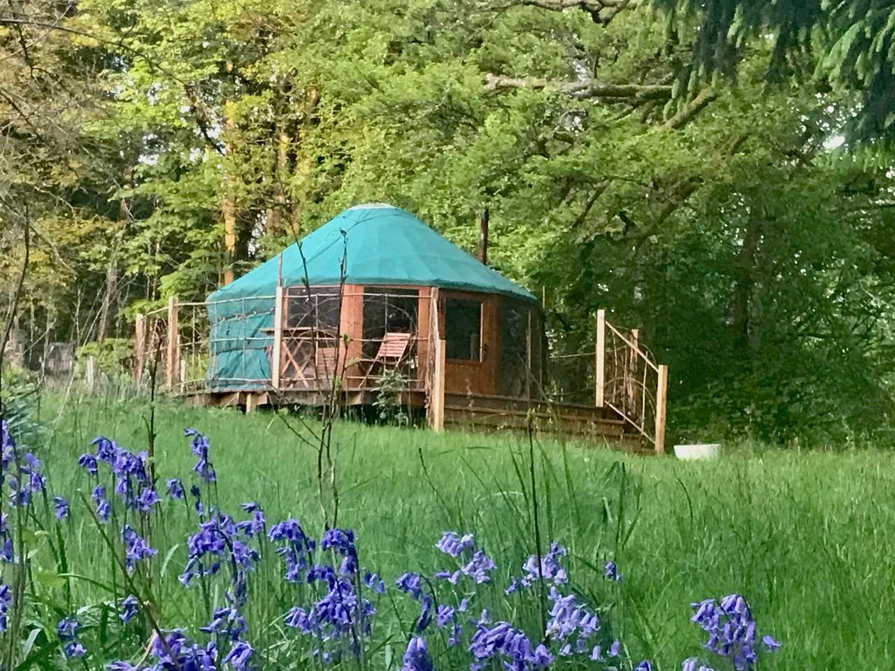 Elder Yurt