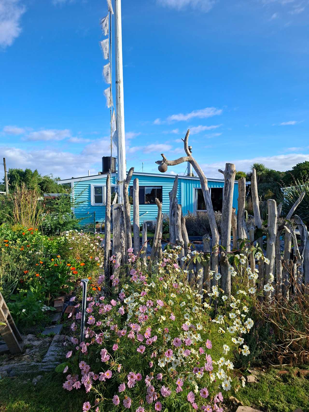 Little Blue Beach Batch.  Organic veg garden, dogs, beach access, infrared sauna