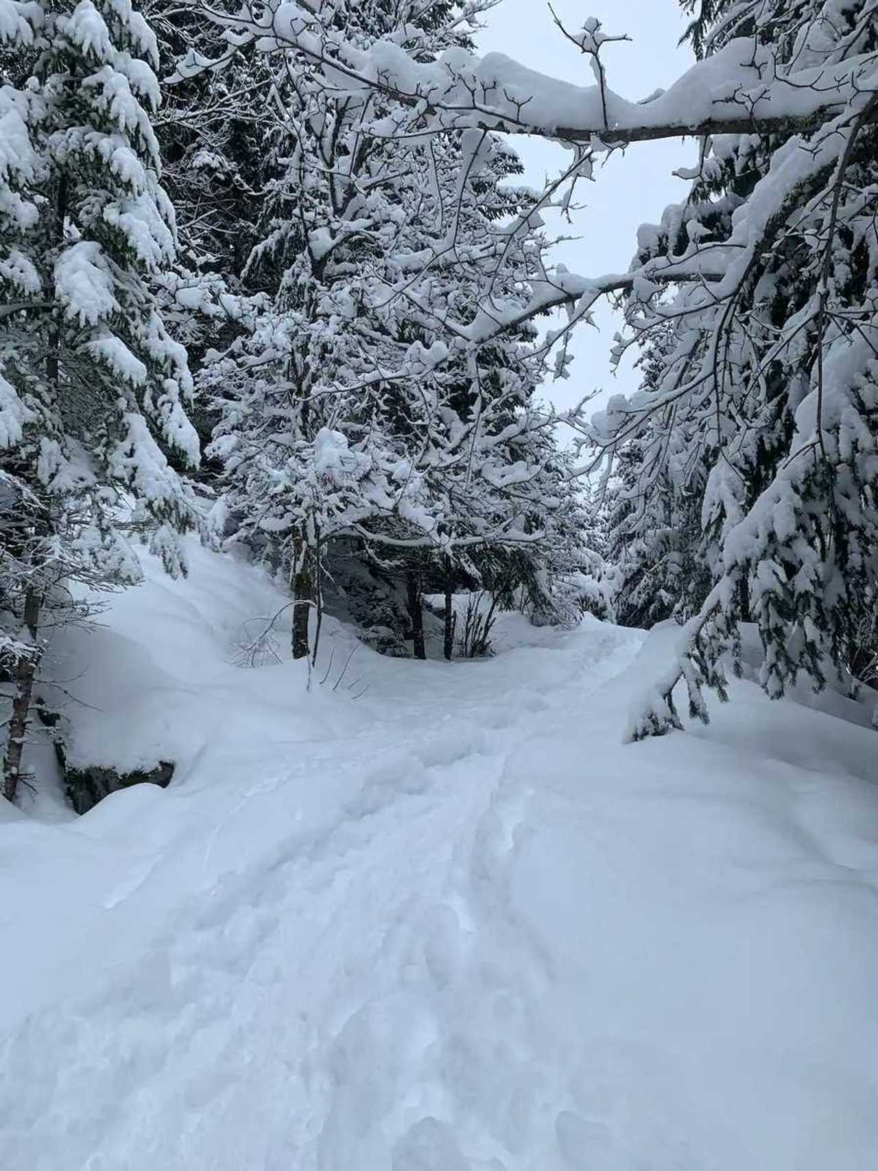 Couples Mountain Retreat | Minutes from Trails and Ski Gondola