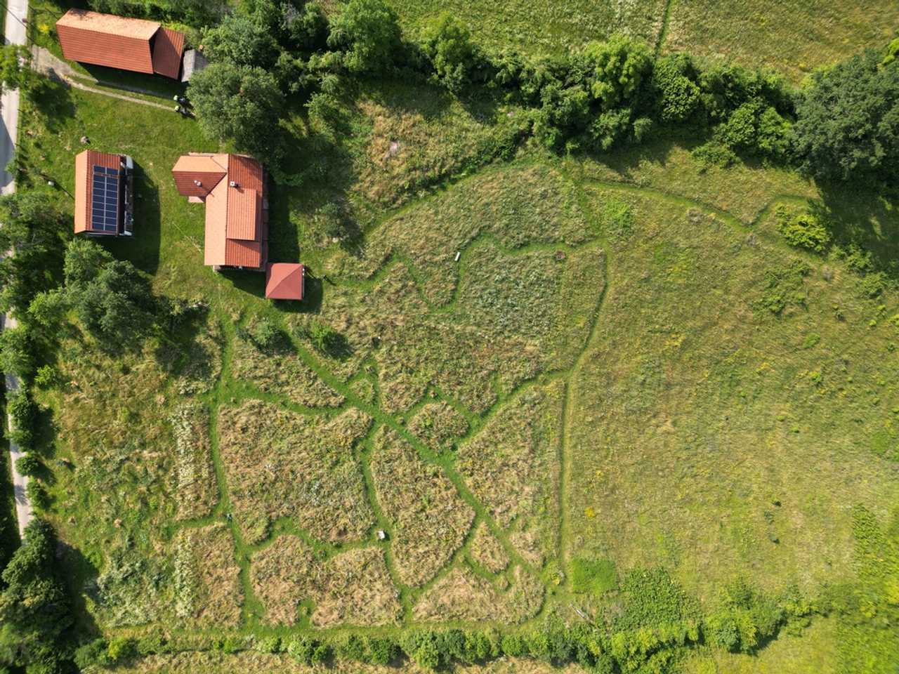 A rare vegan refuge in the Balkan countryside.