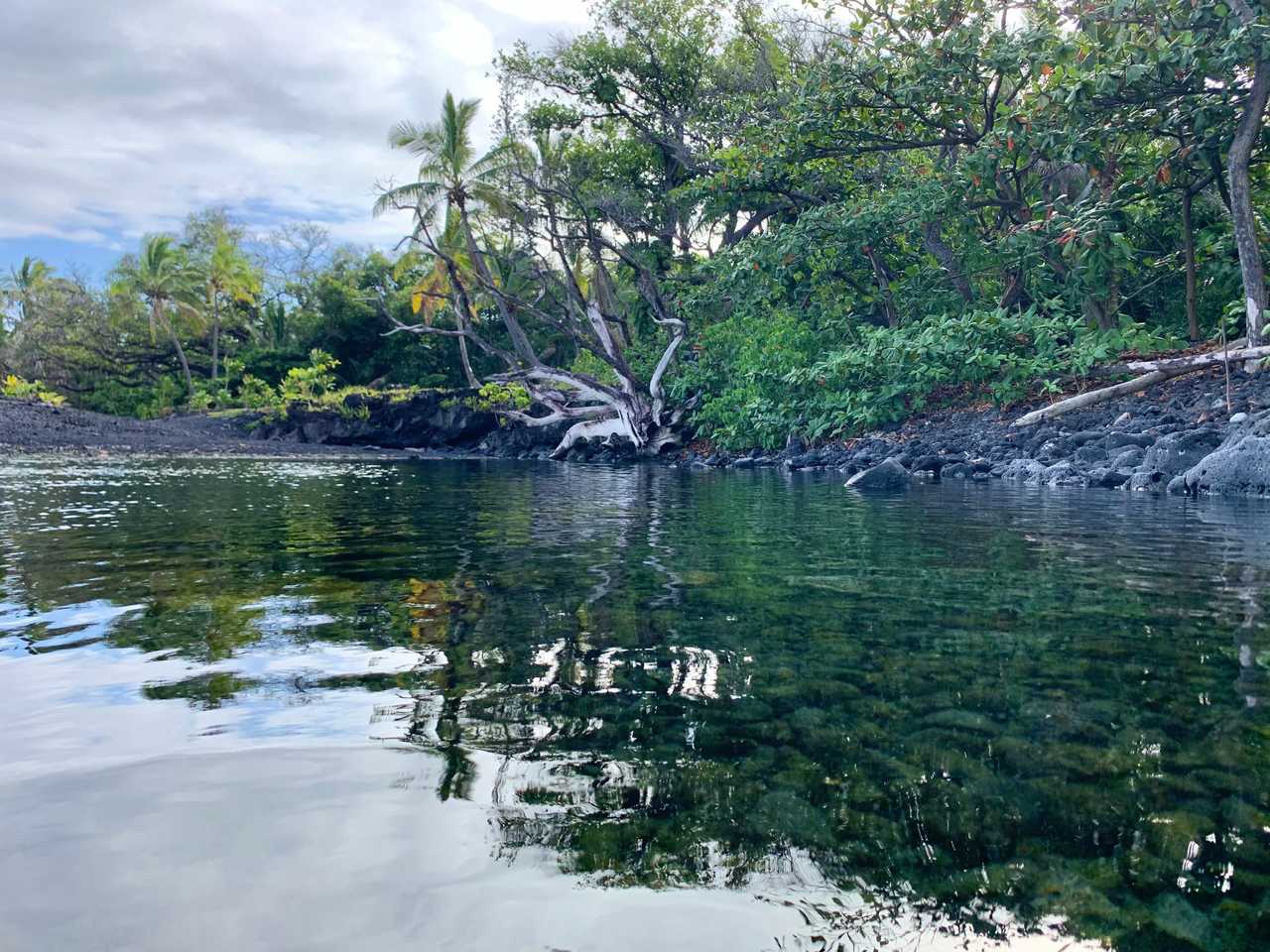 Pulelehua Gardens Off-grid Cabin 1 mile from ocean.