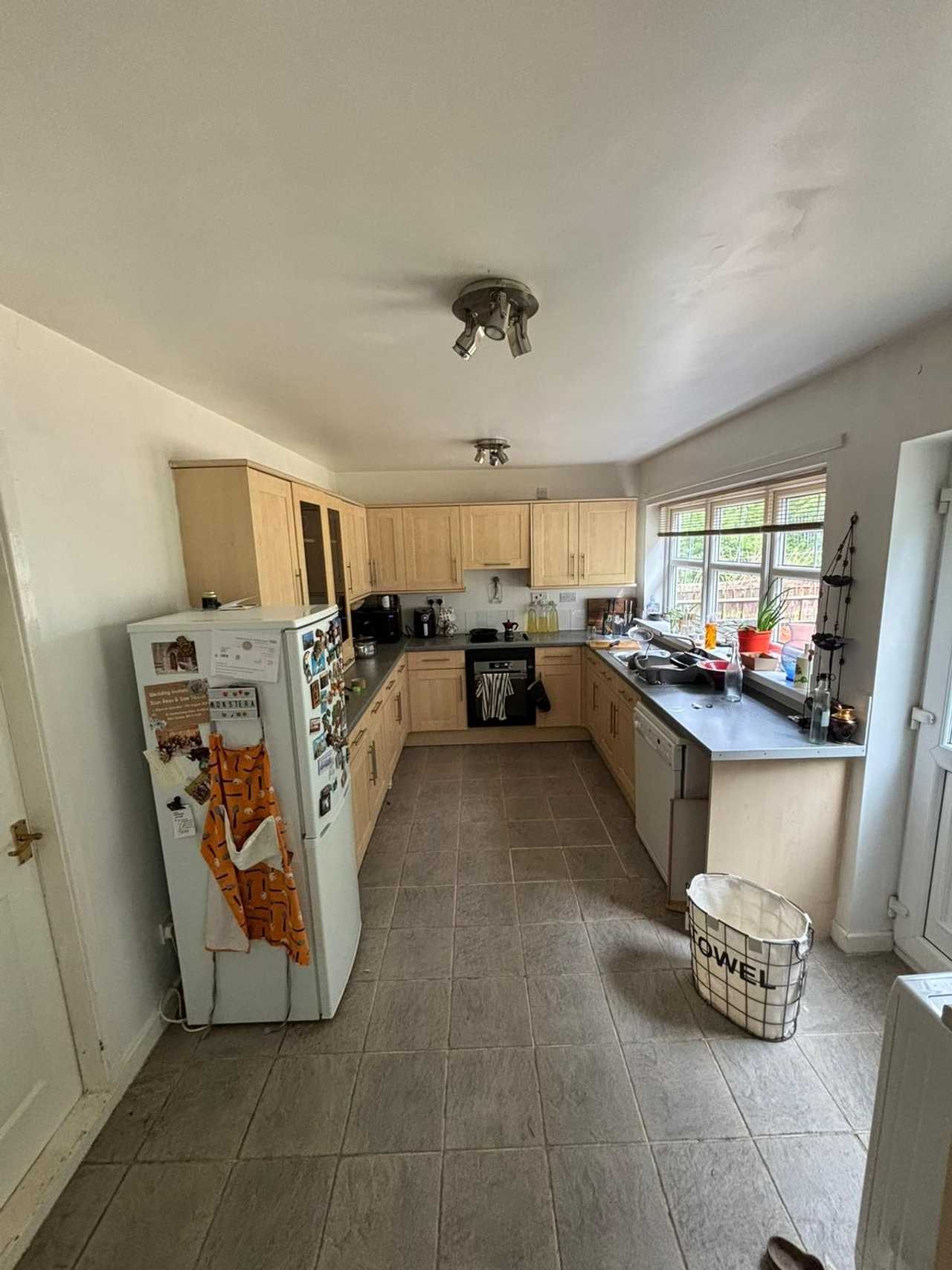 Spare room in a lovely plant-based household