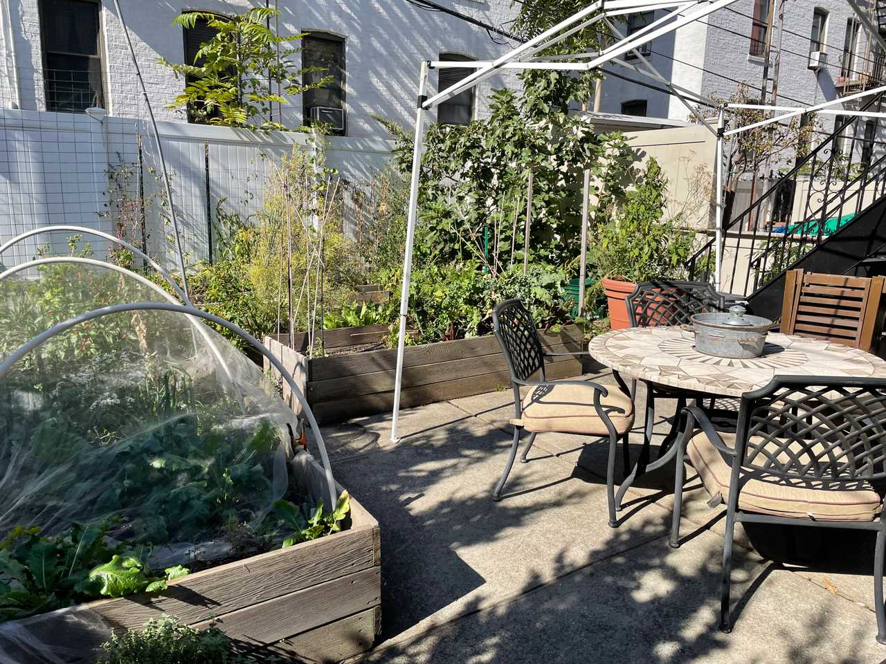 Beautiful Vegan Apartment in the Heart of Astoria