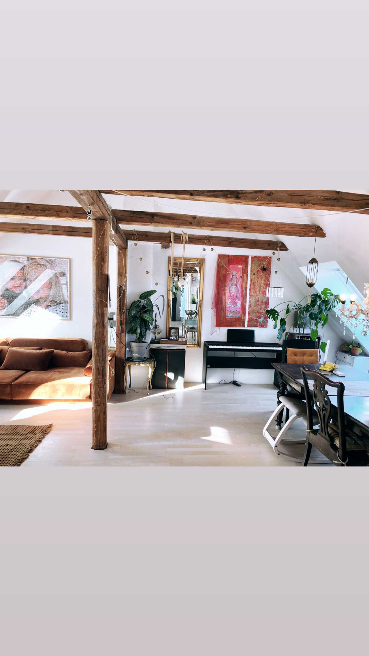 Penthouse with roof terrace and hot tub, 20 min WALK to citycenter