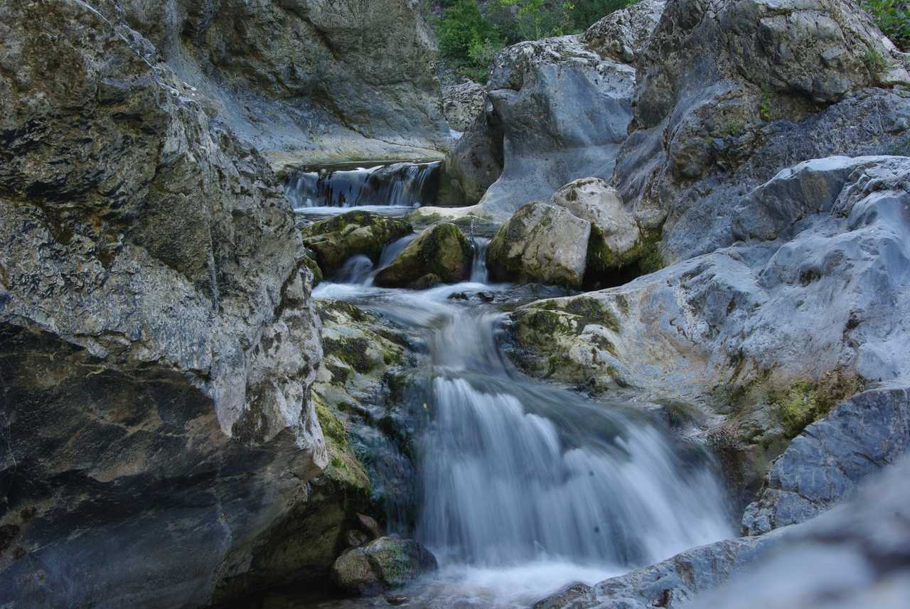 Back to Nature at the Mill!