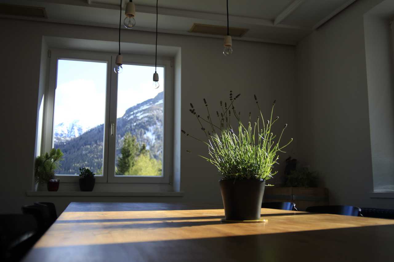 A remote mountain retreat, with daily yoga and guided hikes.