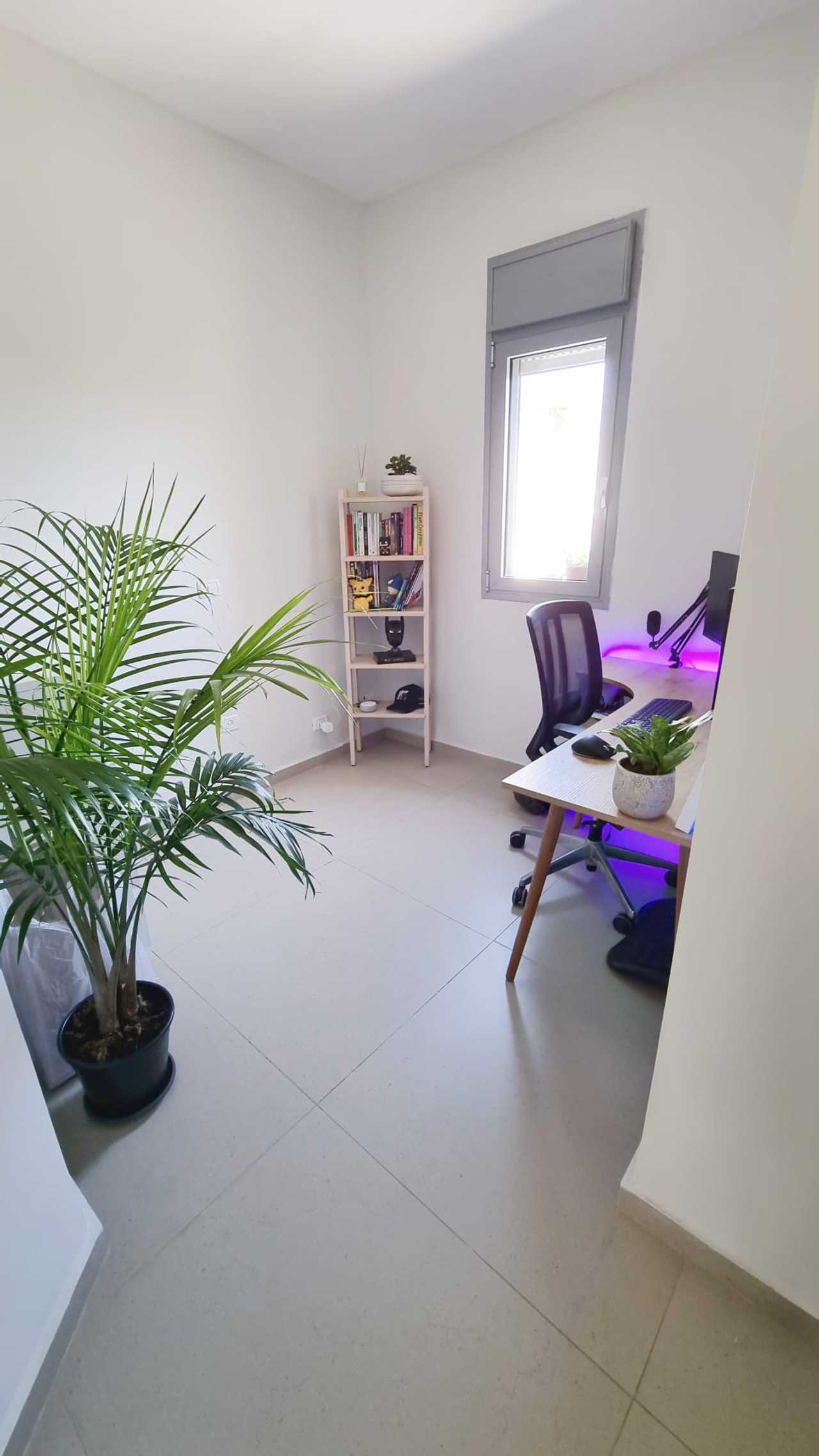 Vegan Israeli Apartment Near the Beach