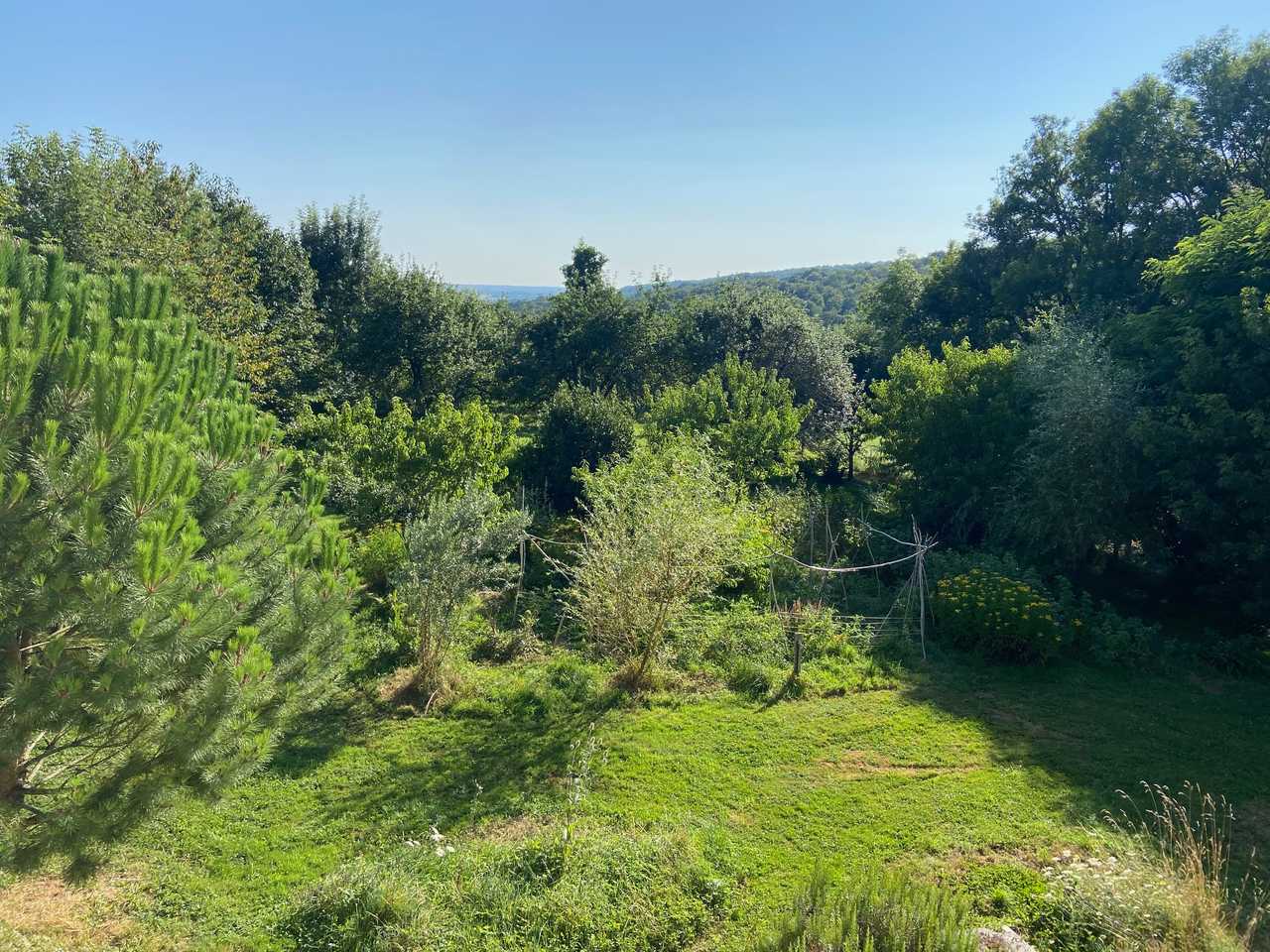 Vegan B&B in the Charente Limousine, rural France - Bedroom 1, GF