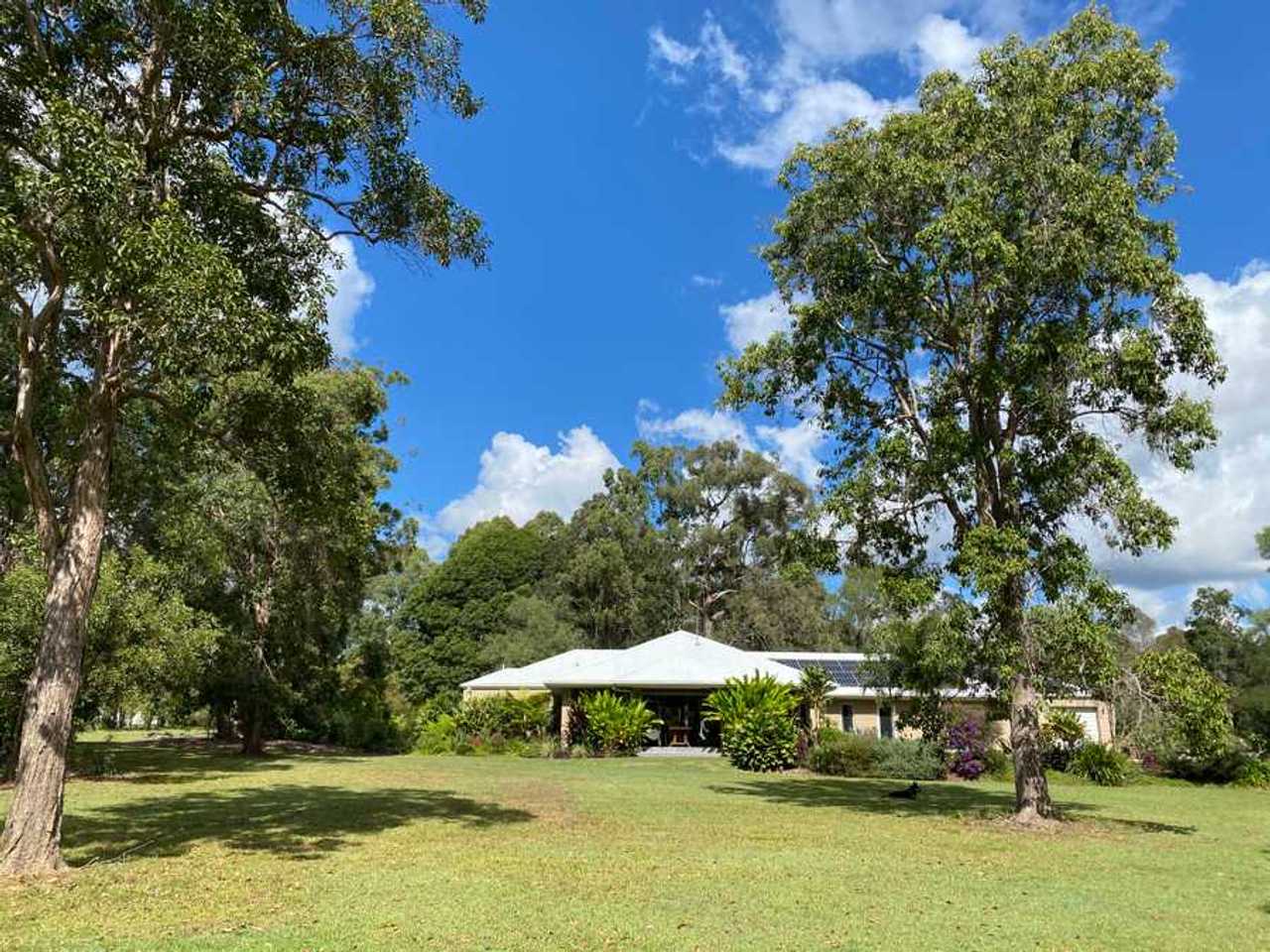 Tranquil Vegan B&B in Noosa region.  In house hospitality and charm 