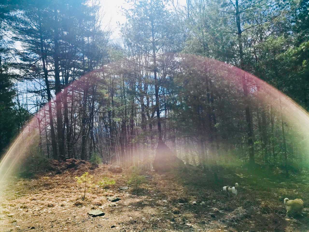 Zen Dome: Relax & Revive in the Beauty of Nature at the Blue Heart Sanctuary