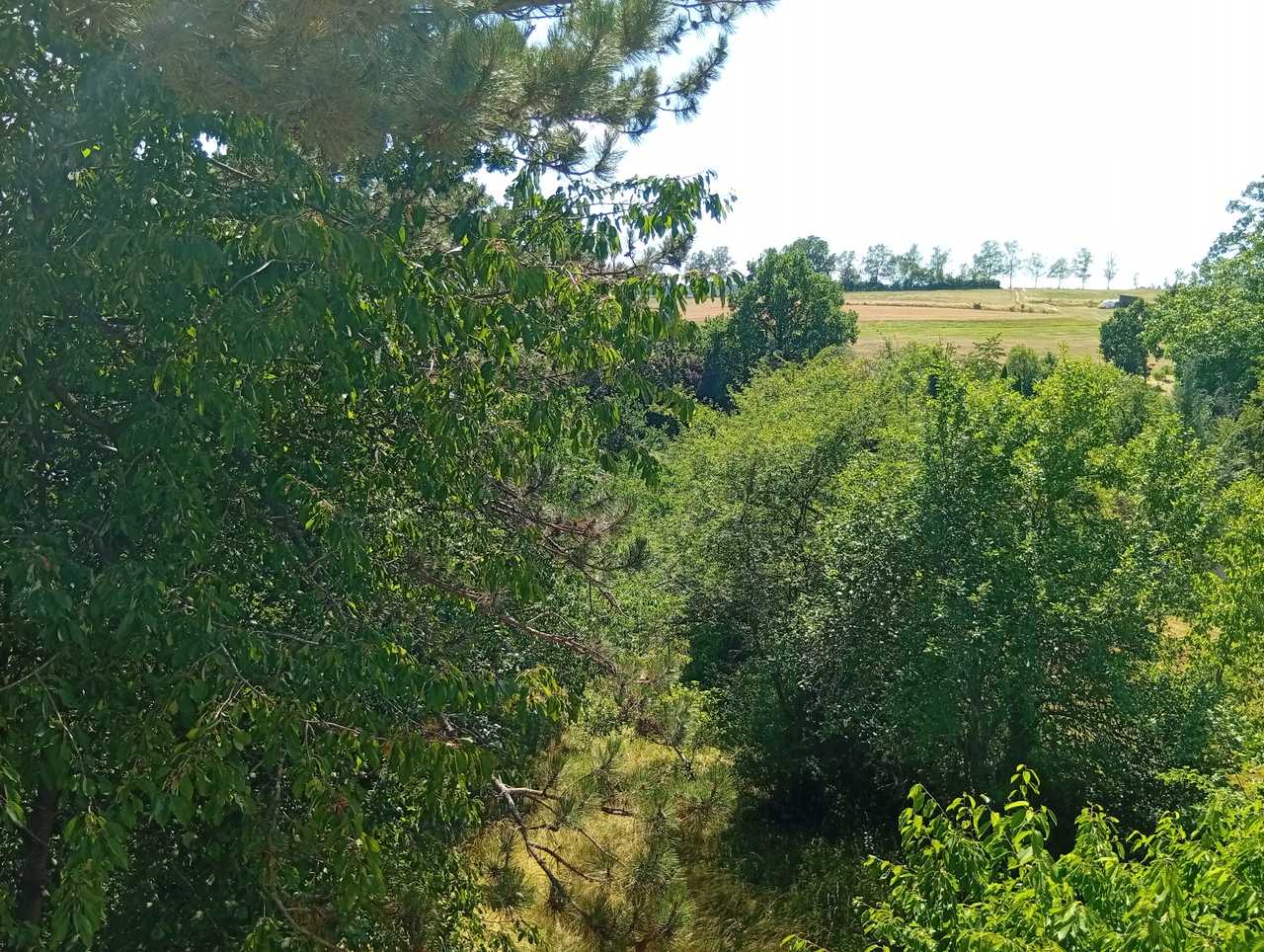Studio flat work in progress vegan near nature quiet slightly odd in a good way