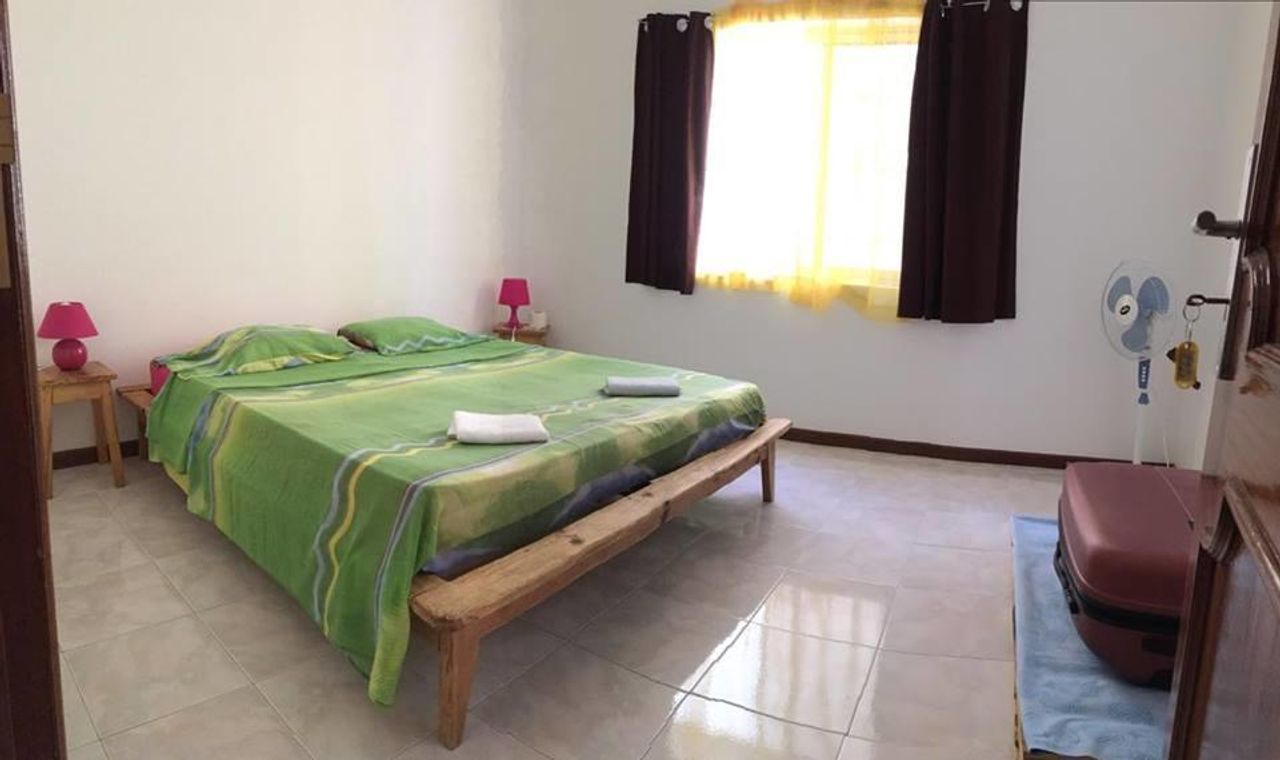 Stay here and help the stray animals of Cape Verde!