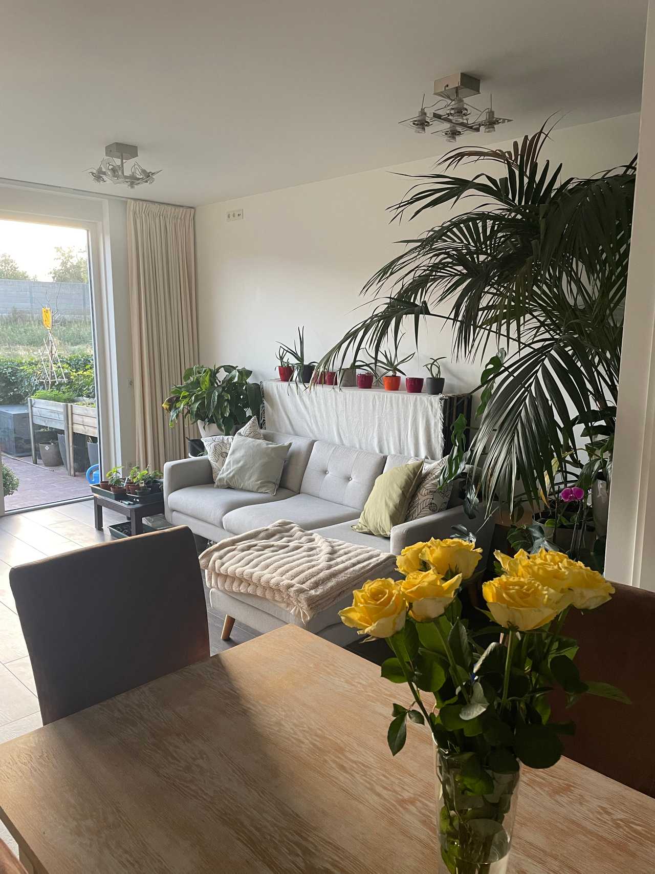 Comfy spacious whole house close to the train. Long term stayer, January-March!