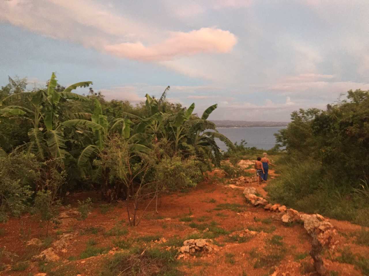 Casa Clementina - An Oceanview Oasis