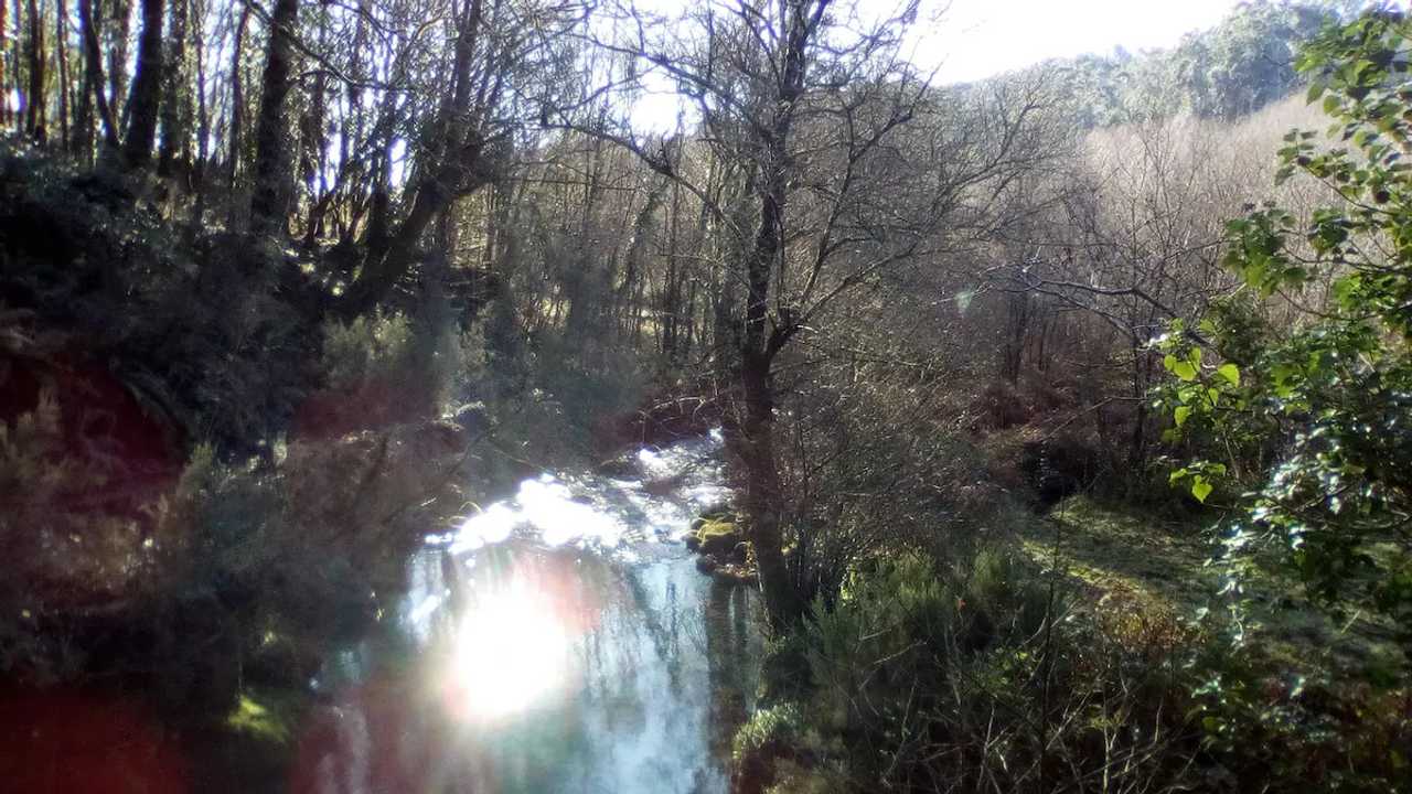 Rural vegan place in the heart of the Galician land