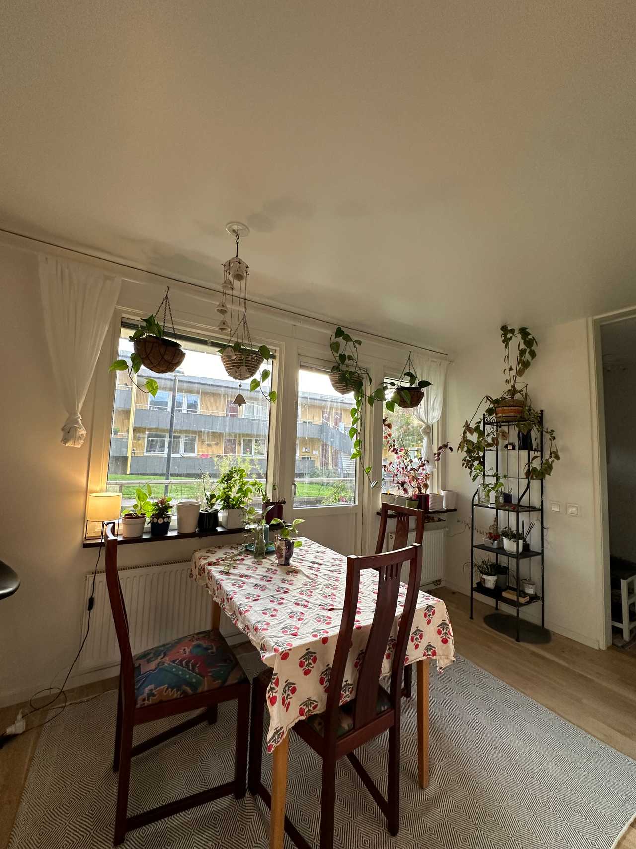 Cozy vegan 1 bedroom apartment in Gothenburg