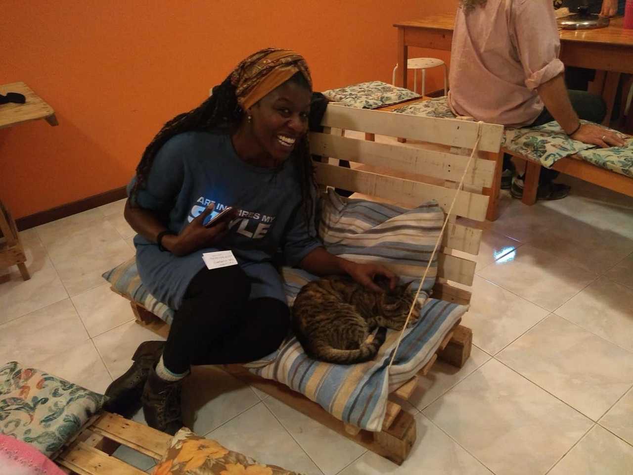 Stay here and help the stray animals of Cape Verde!