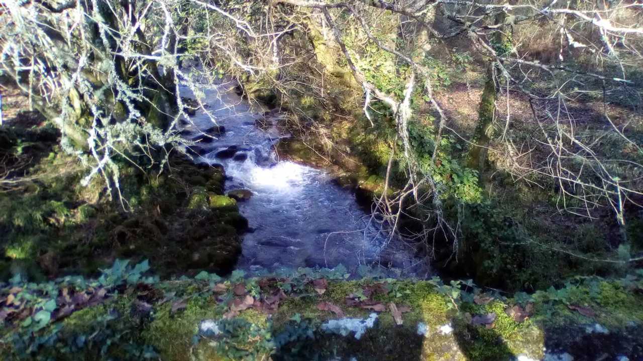 Rural vegan place in the heart of the Galician land