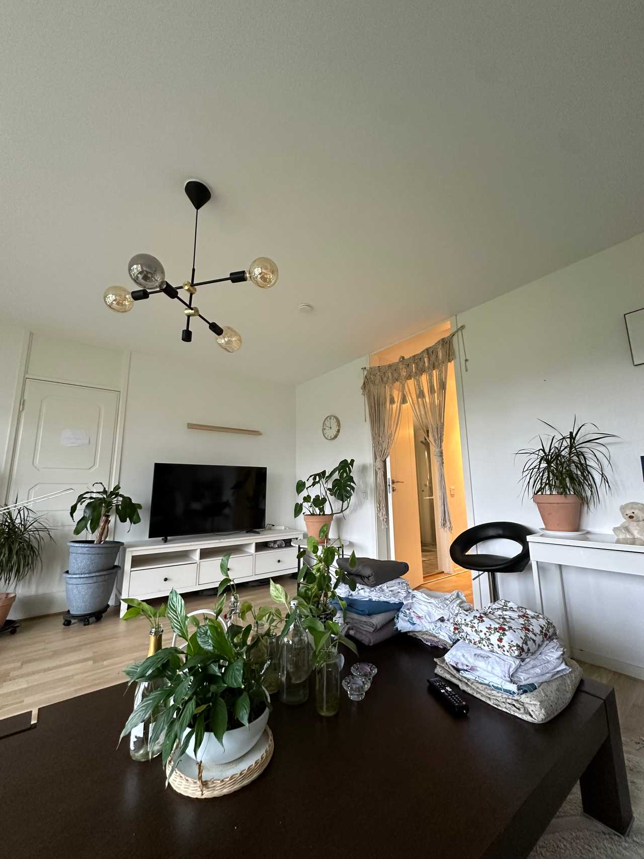 Cozy vegan 1 bedroom apartment in Gothenburg