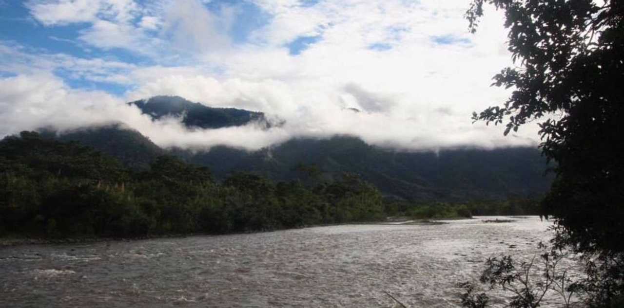 Amazonian Paradise and Garden of Eden