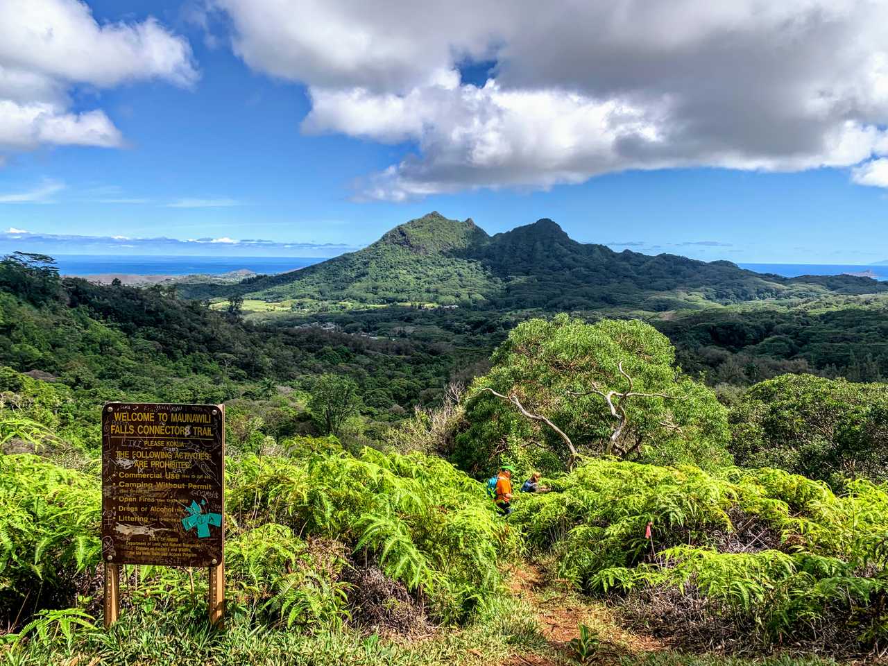 Cozy Room in Amazing Diamond Head Location